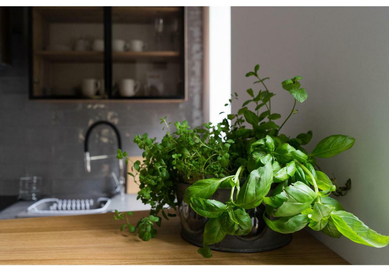Gostynin Garden Apartment Kültér fotó